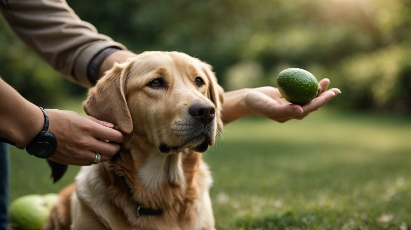 When Can Dogs Eat Avocado? - Can Dogs Eat Avocado? 