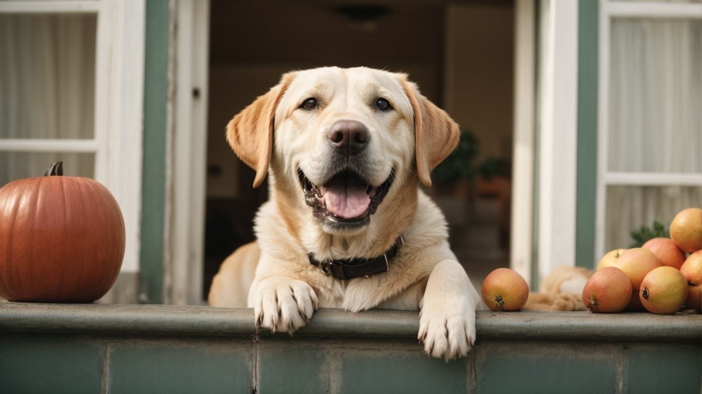 Signs of Happiness in Dogs - Can Dogs Smile? 