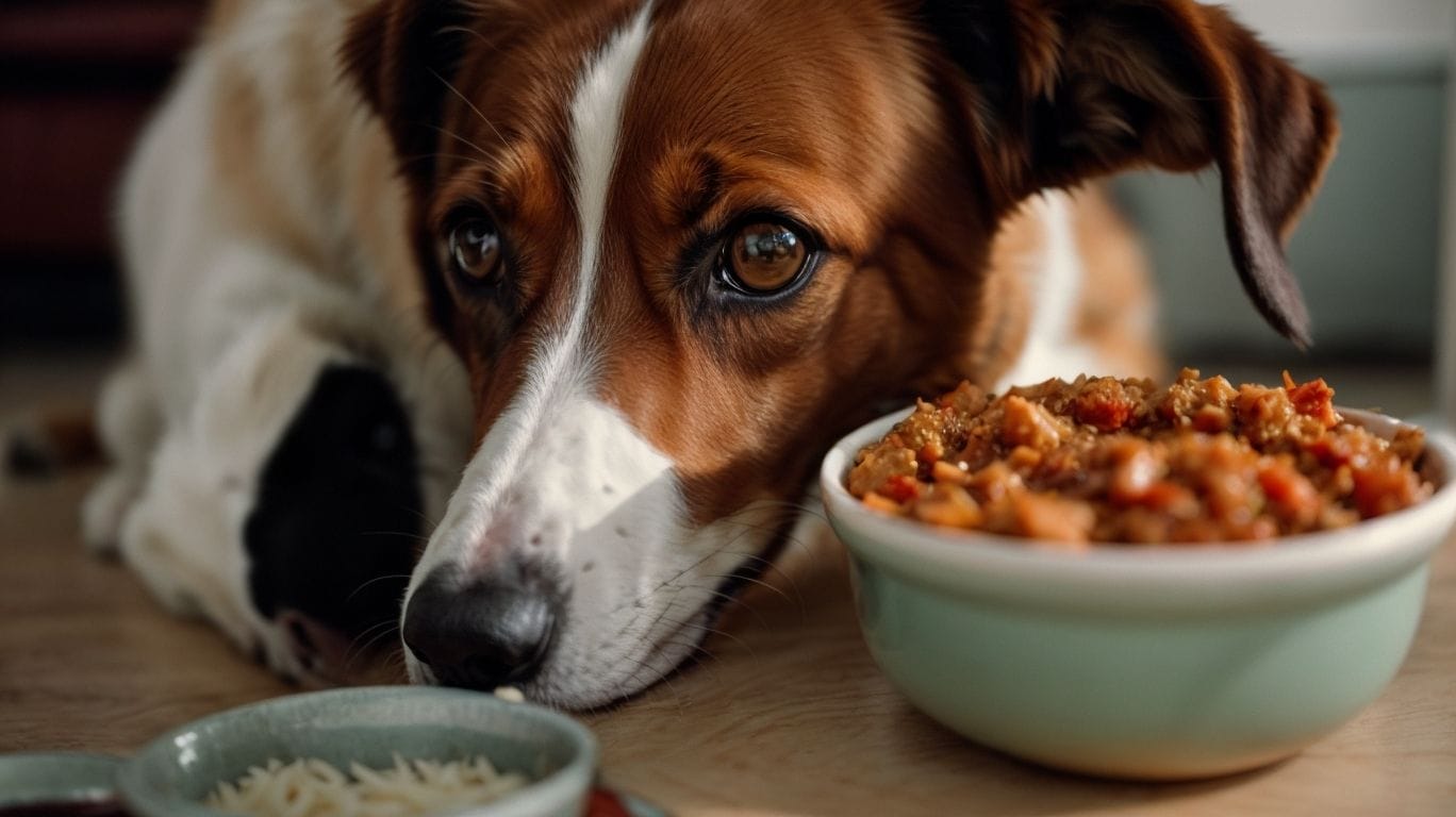 Can Dogs Taste Spicy? - Can Dogs Taste Spicy? 