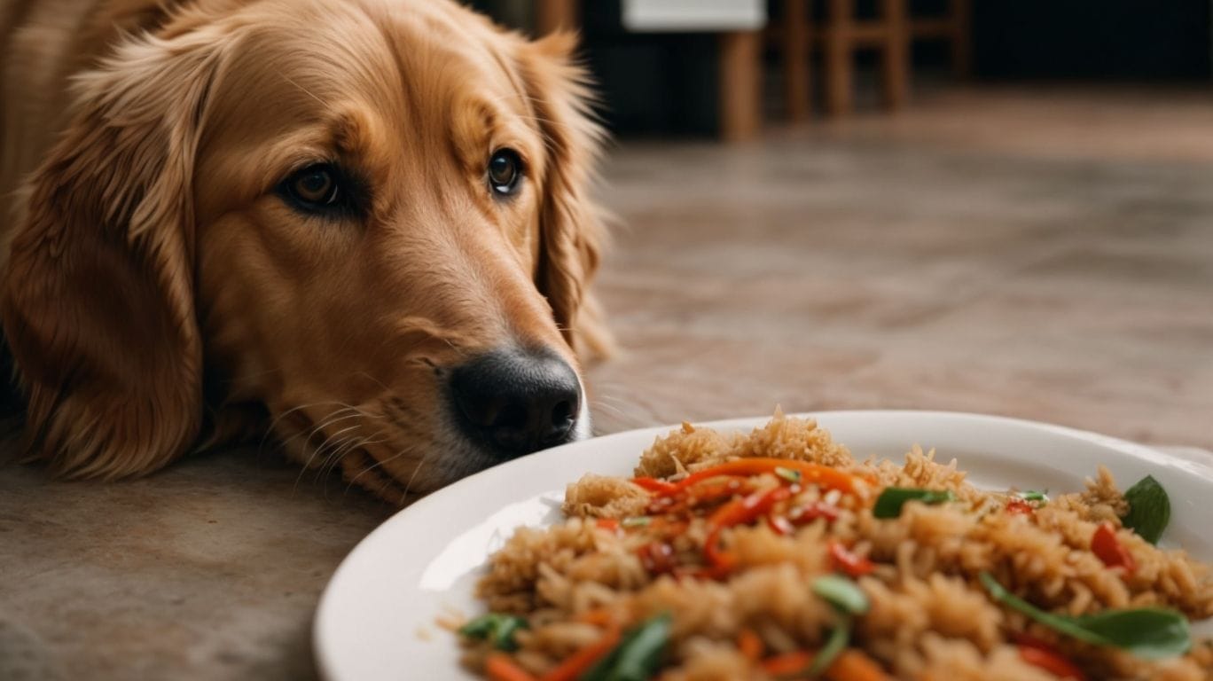 Do Dogs Like Spicy Food? - Can Dogs Taste Spicy? 