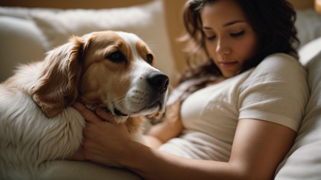Dealing with Grief - Do Our Pets Miss Us When They Die? 