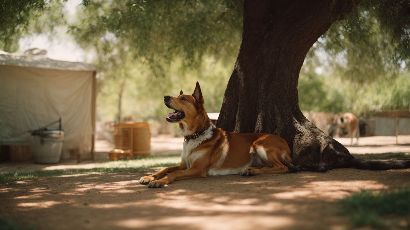 Signs of Heat Stress in Dogs - How Do Dogs Sweat? 