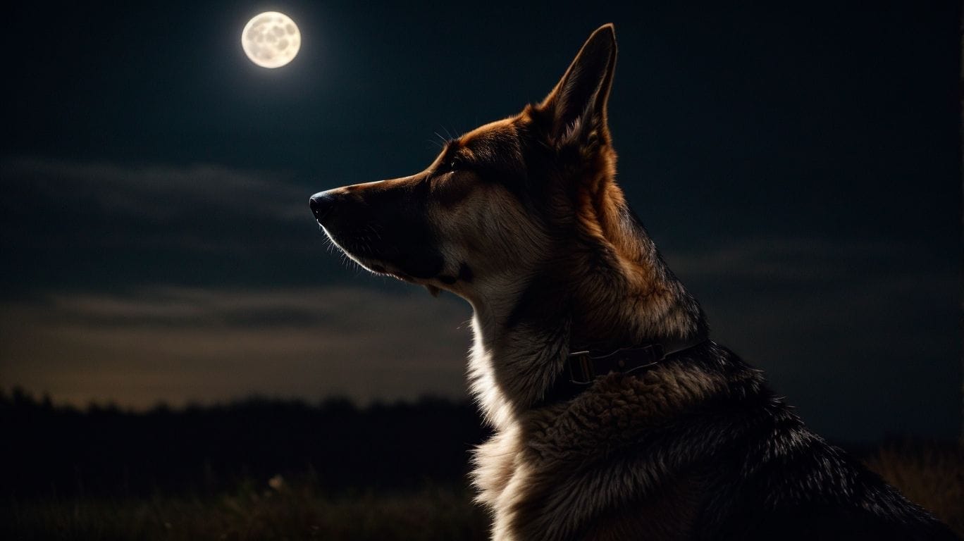 Reasons Behind Howling at Specific Triggers - Why Dogs Are Howling 